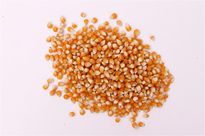 全自動顆粒包裝機替人們解決了很多問題